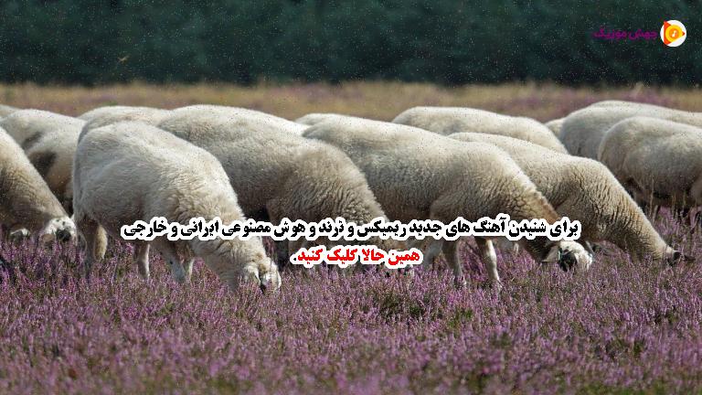 دانلود آهنگ بهش بگو پلنگه پلنگ چش قشنگه - 